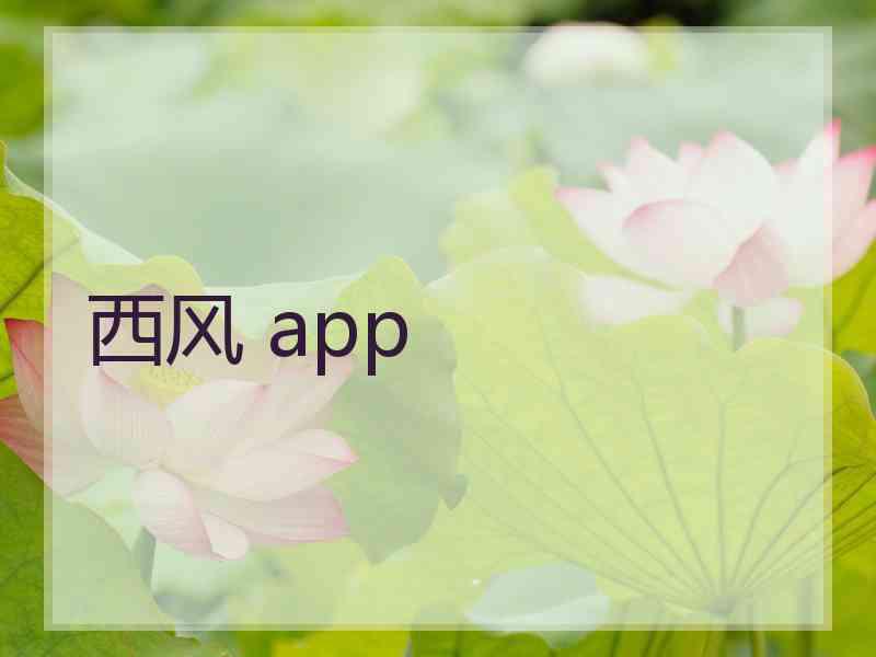 西风 app